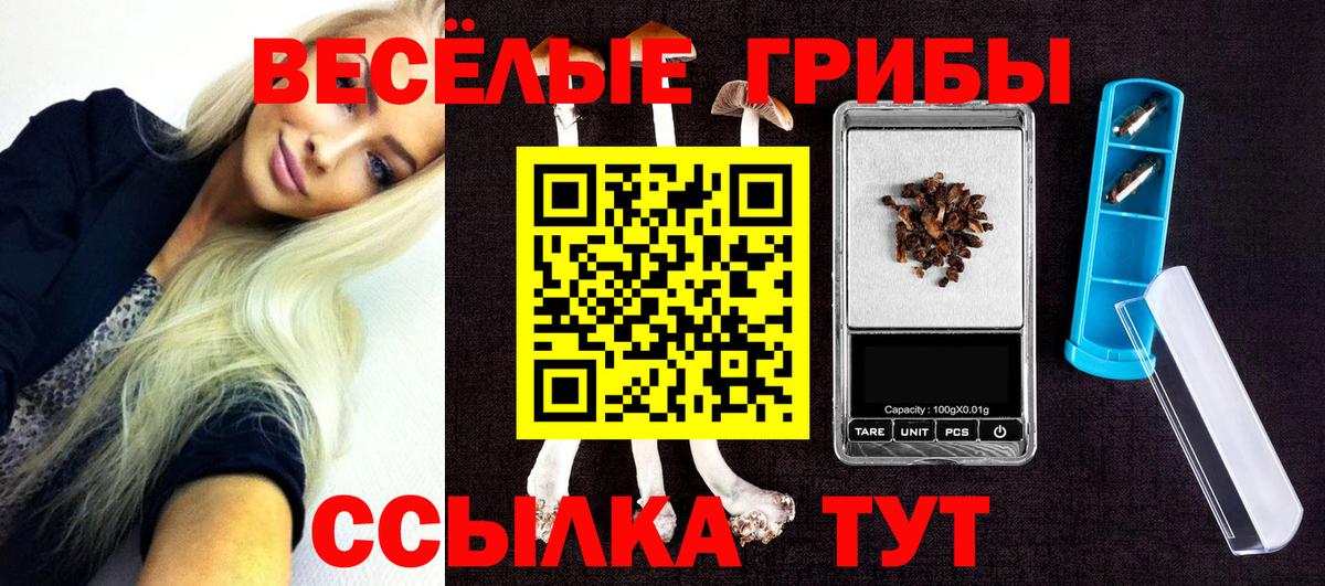 Псилоцибиновые грибы ЛСД  наркотики  Ялуторовск  Вход с VPN 