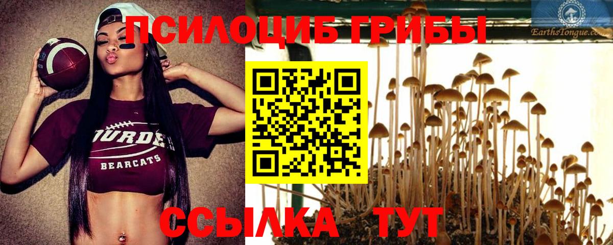 Псилоцибиновые грибы мухоморы Ялуторовск